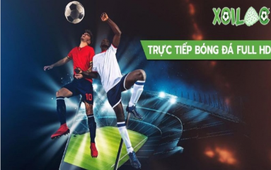 Xoilac TV - Trọn vẹn bóng đá trực tiếp đỉnh cao qua màn ảnh nhỏ